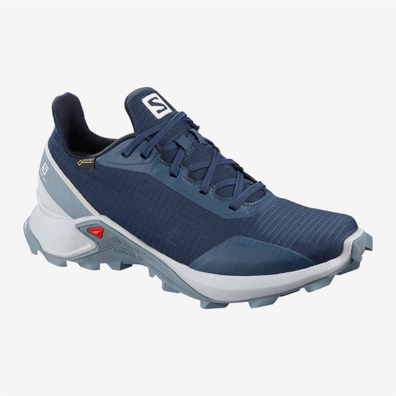 Salomon ALPHACROSS GTX W Wanderschuhe Damen [Österreich AT-LOKC]